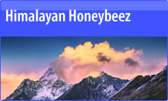 Himalayan Delights