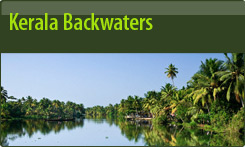 Kerala Backwaters